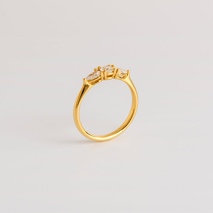 Classic Diamonds Ring (3 Stones)