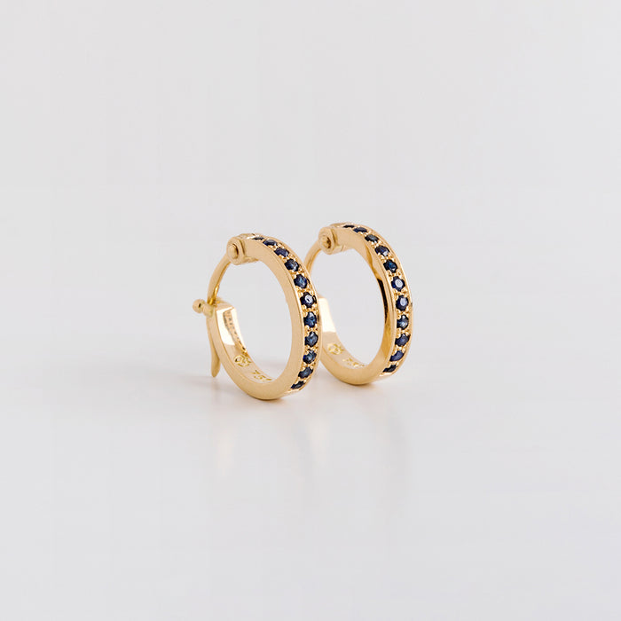 Classy Pave Earrings